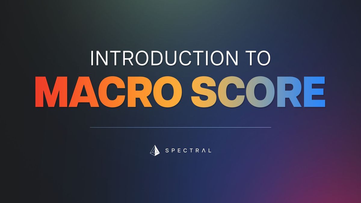 Introduction to MACRO Score
